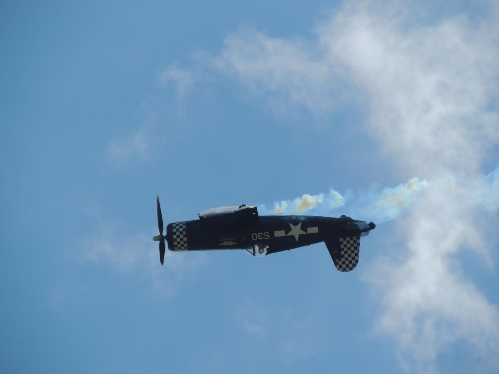 DSCN9528.jpg