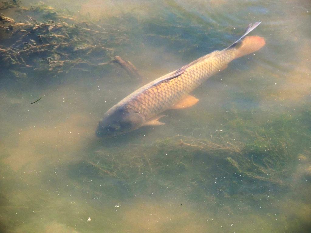 DSCN9538.jpg