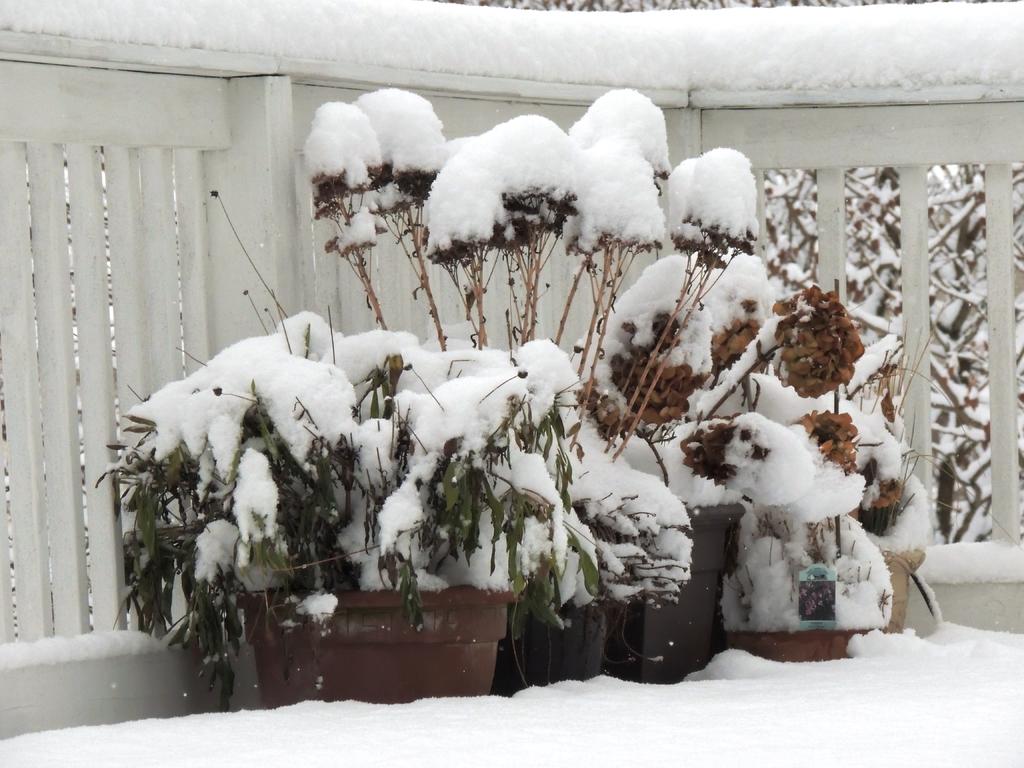 DSCN9539.jpg
