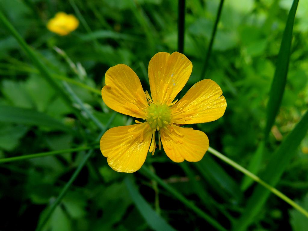 DSCN9546.jpg