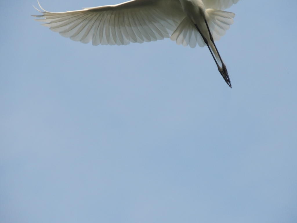 DSCN9547.jpg