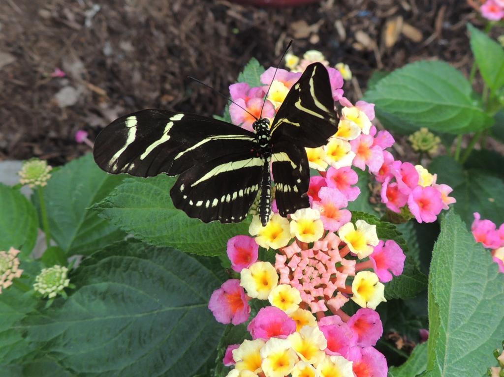 DSCN9551.jpg