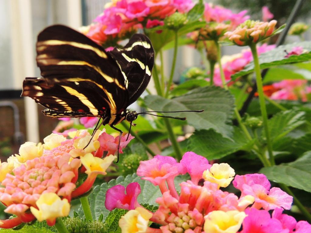 DSCN9557a.jpg