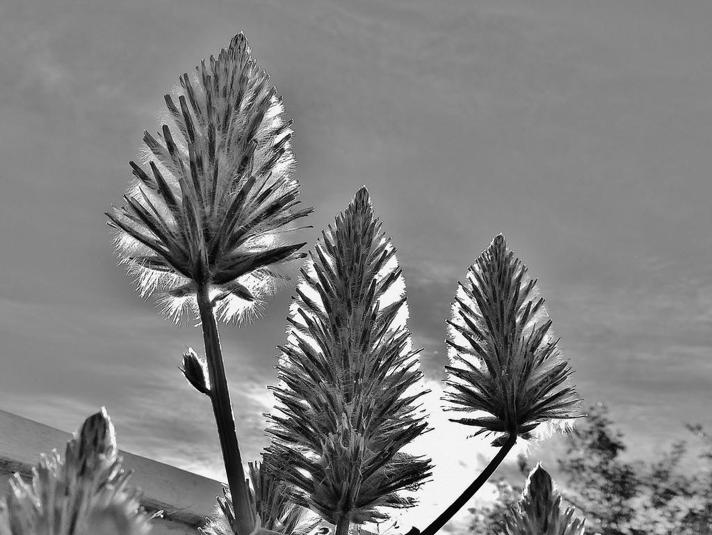 DSCN9569.jpg