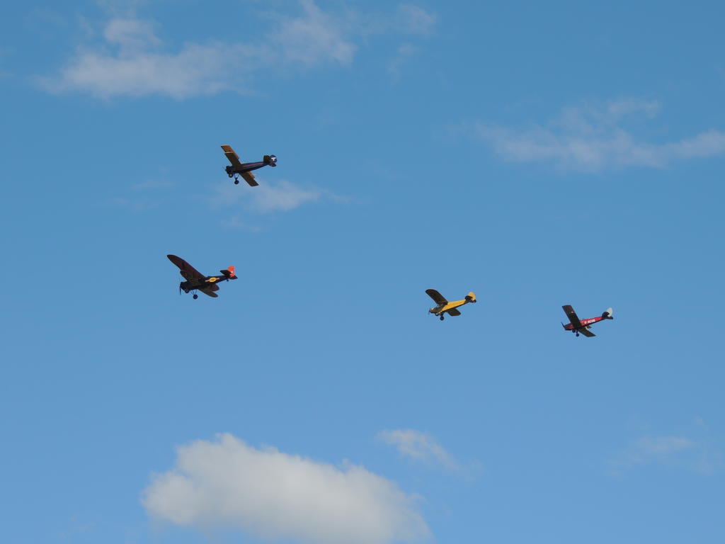 DSCN9569.jpg