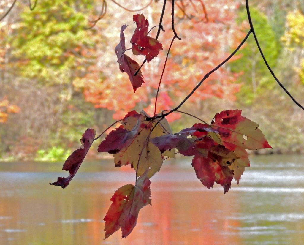 DSCN9569.jpg