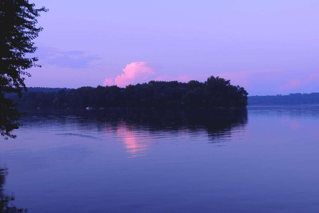 DSCN9570.jpg