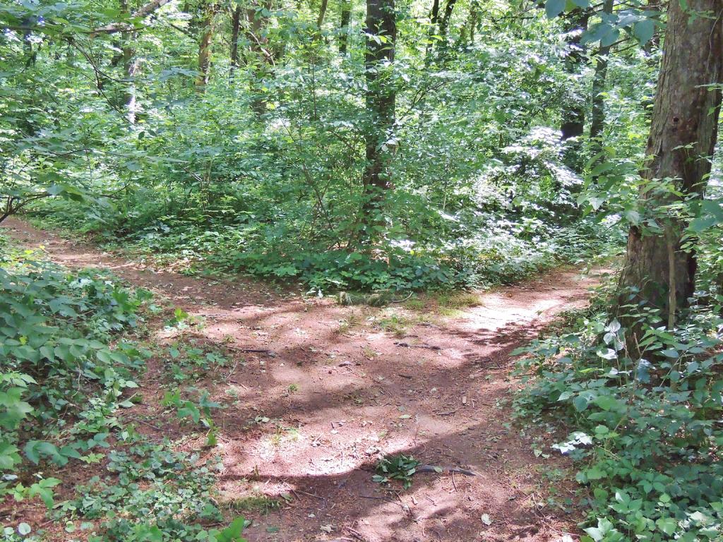 DSCN9572.jpg