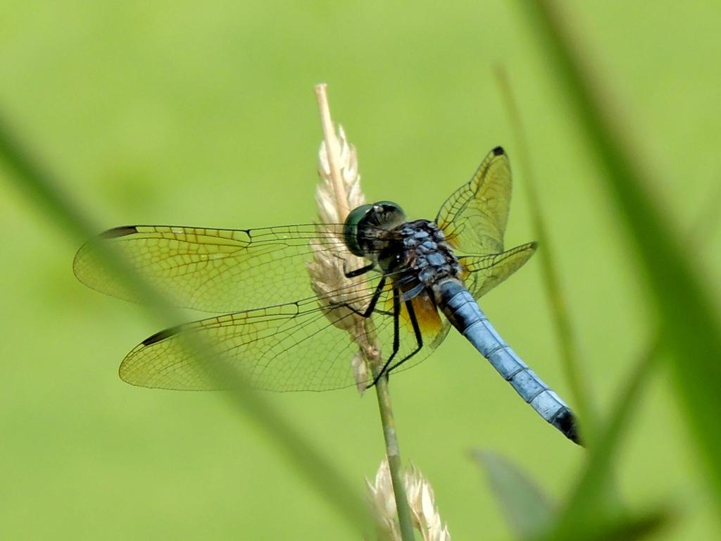 DSCN9577.jpg