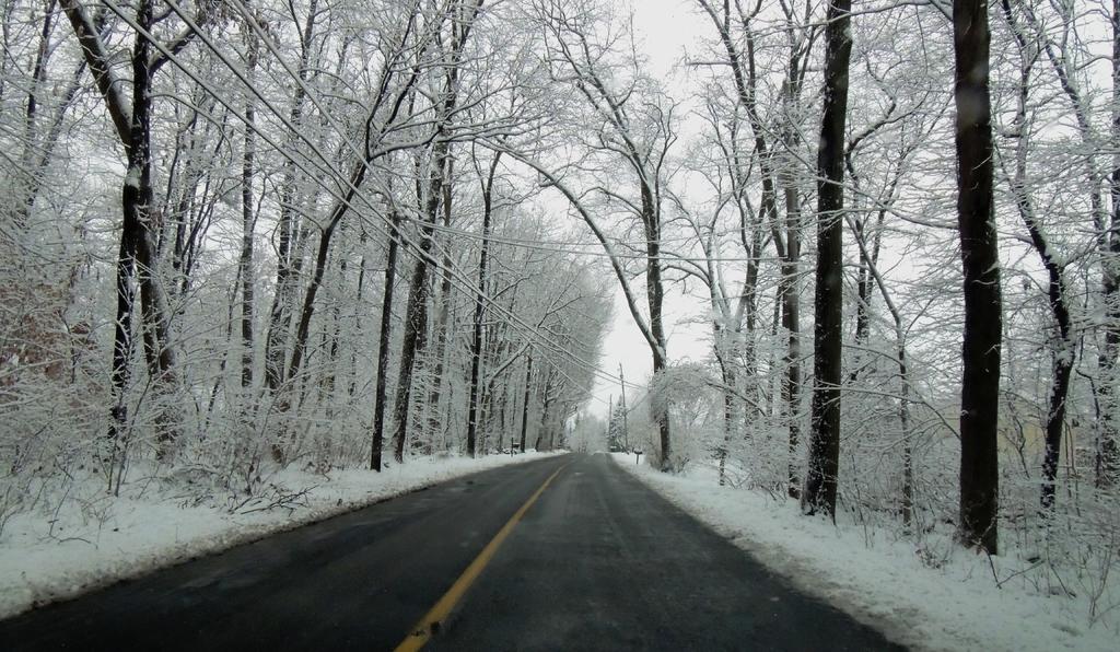 DSCN9578.jpg