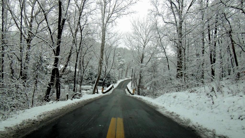 DSCN9582.jpg