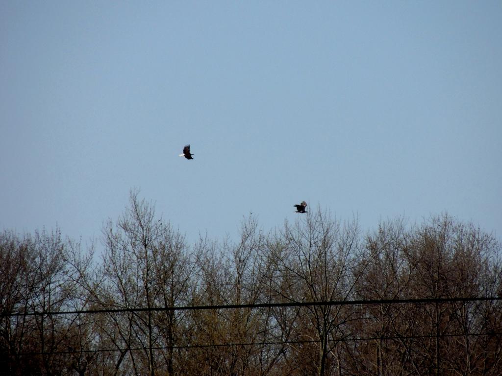 DSCN9582.jpg