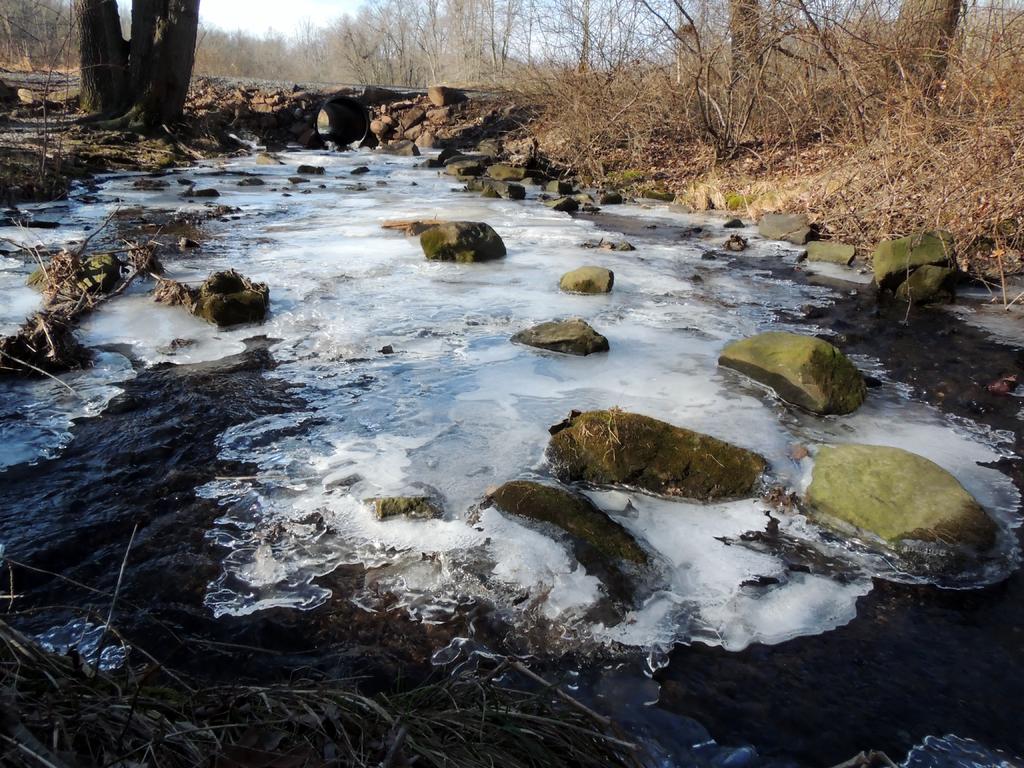 DSCN9585.jpg