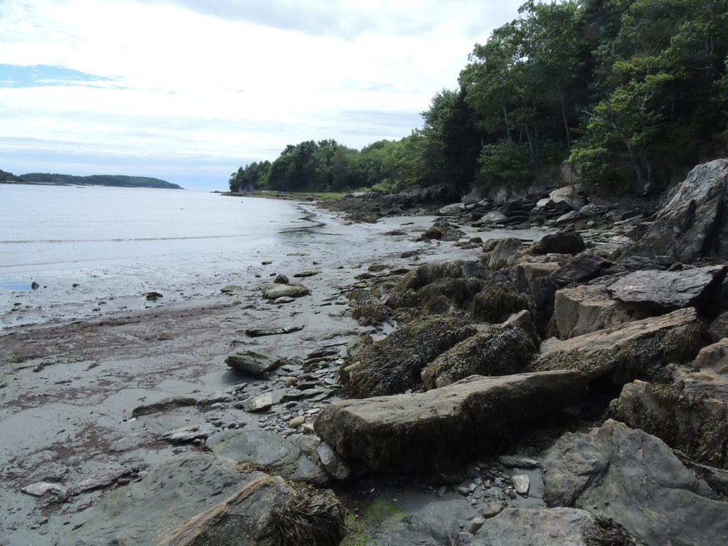 DSCN9587.jpg