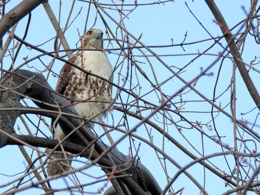 DSCN9605.jpg