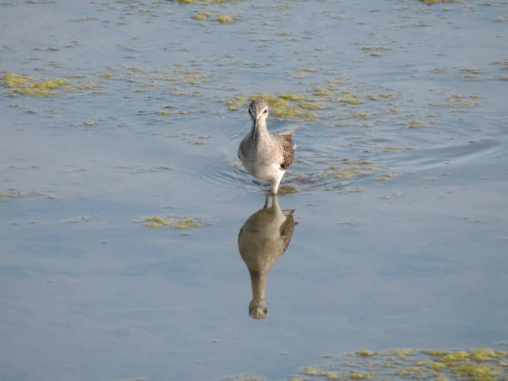 DSCN9607.jpg