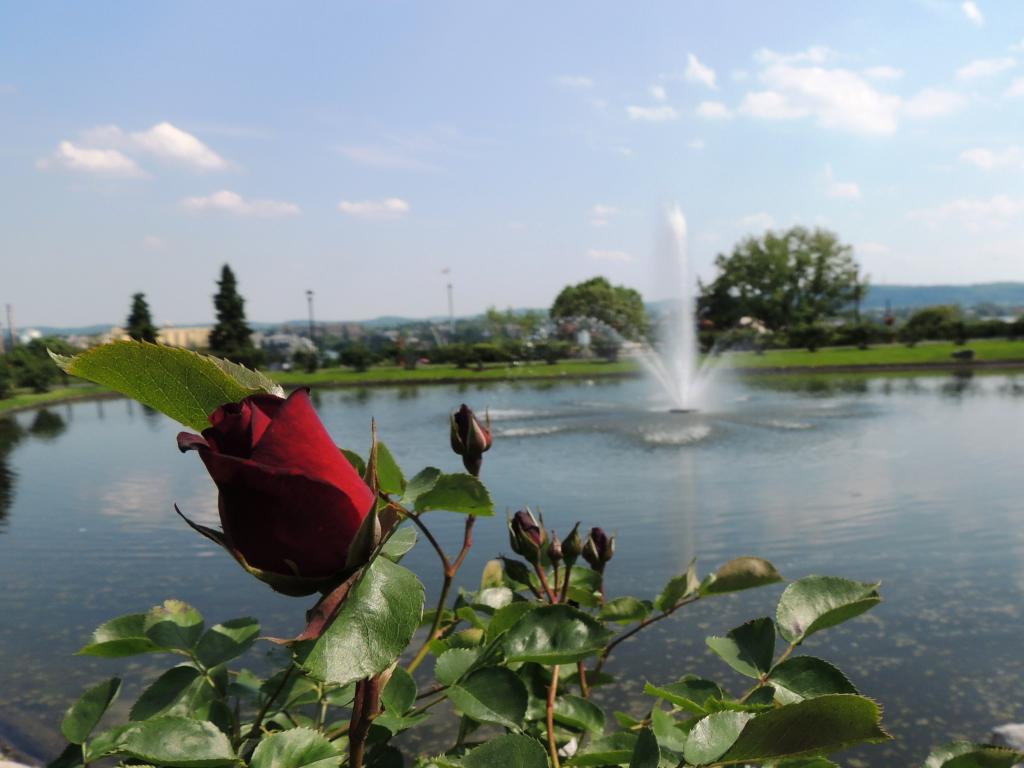 DSCN9627.jpg
