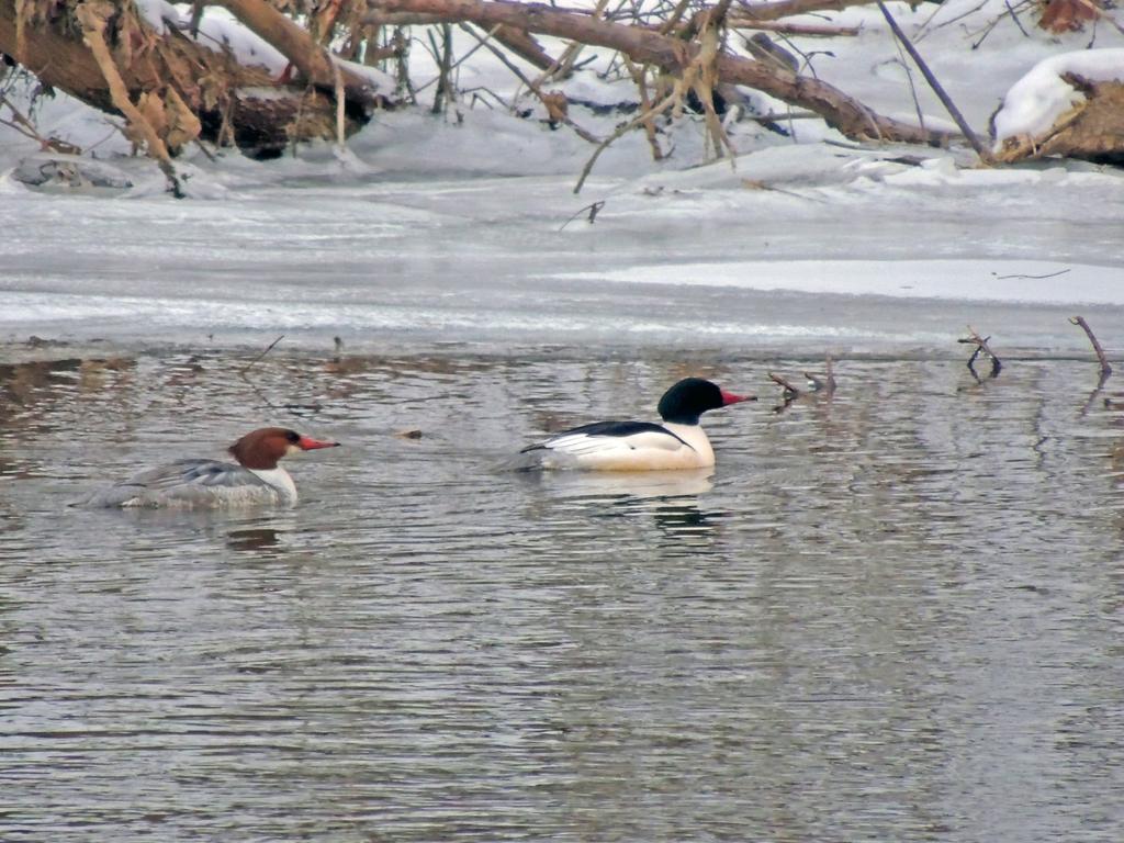 DSCN9628.jpg
