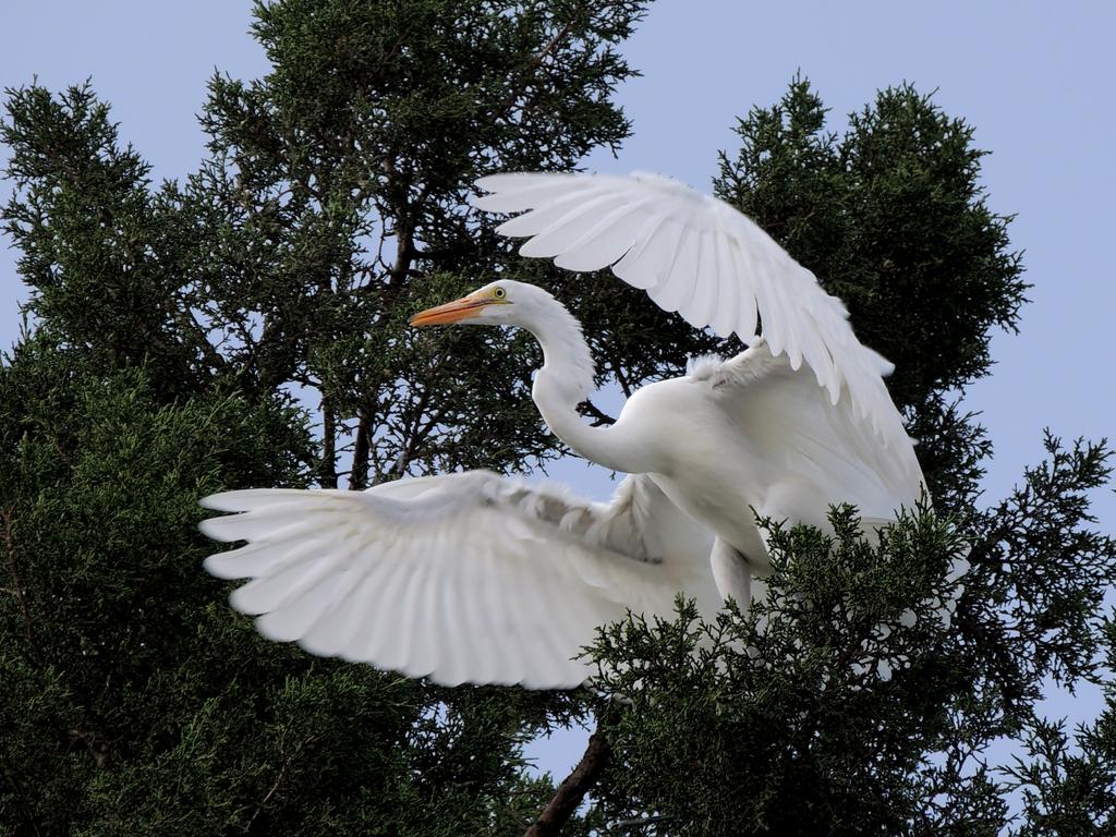 DSCN9641.jpg