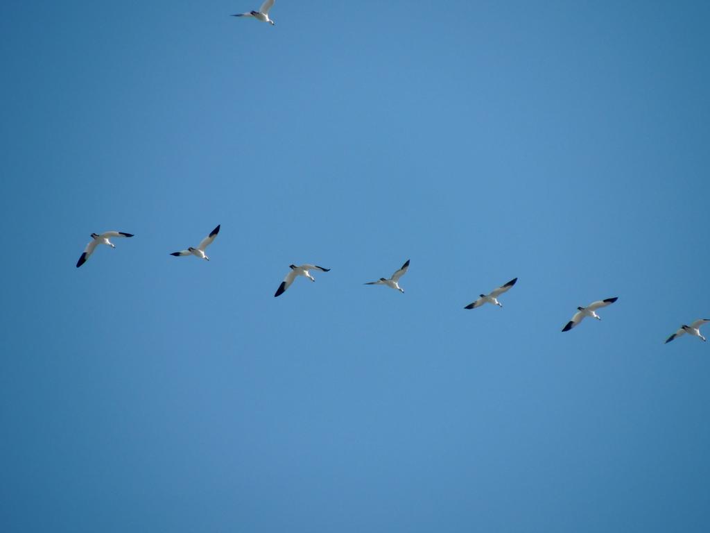 DSCN9641.jpg
