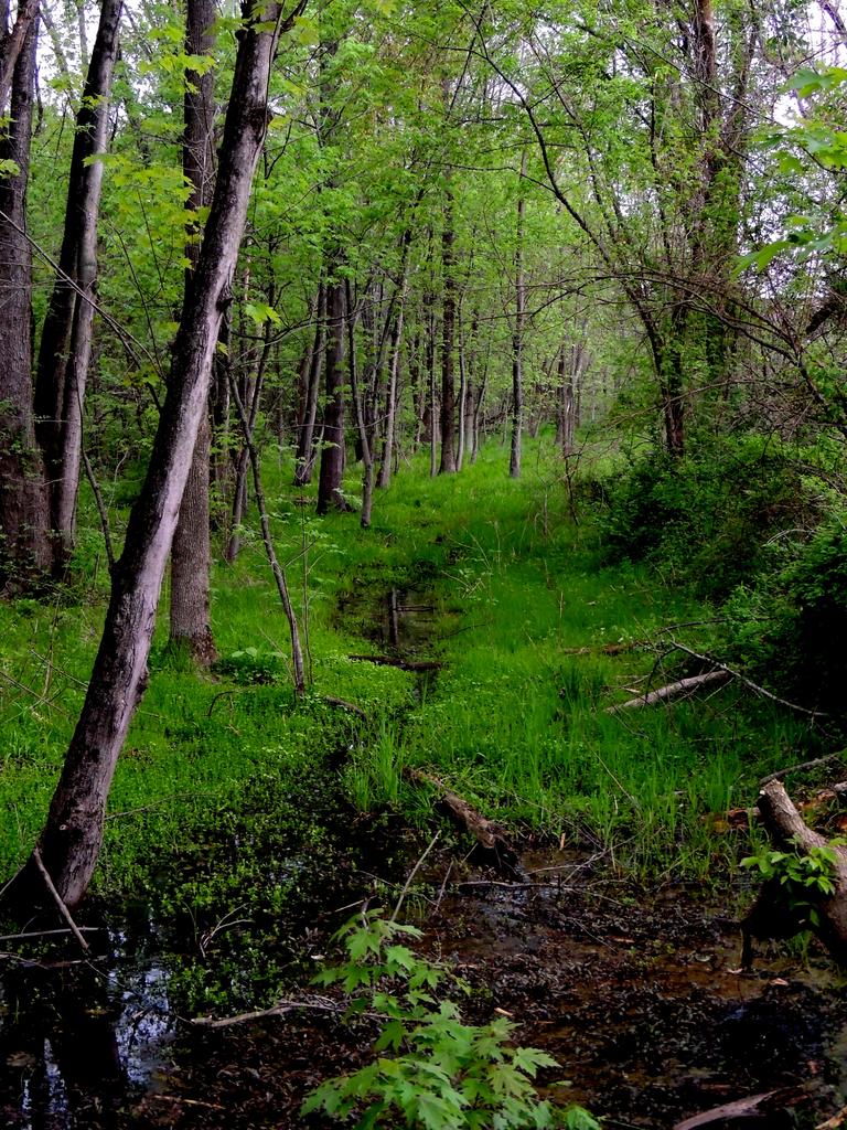 DSCN9642.jpg