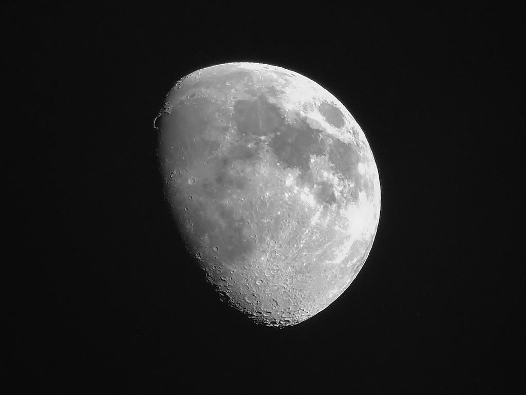 DSCN9643.jpg