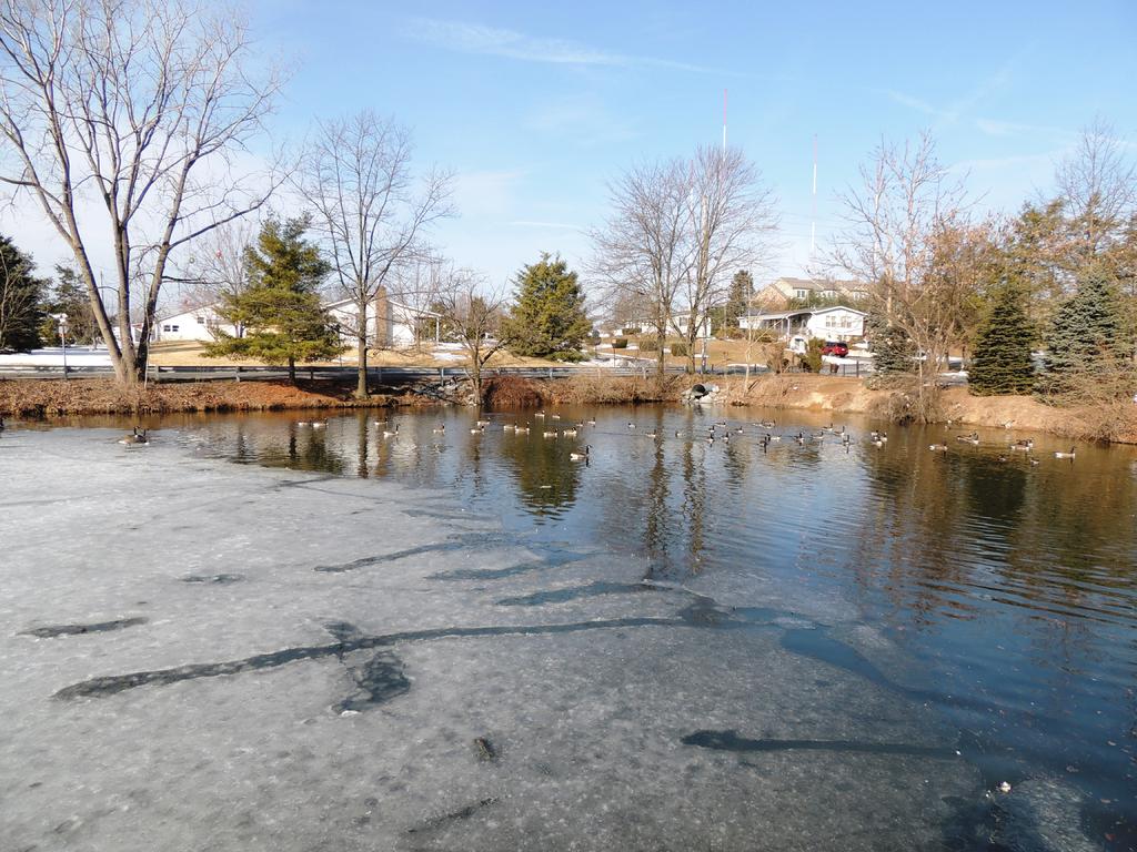 DSCN9651.jpg
