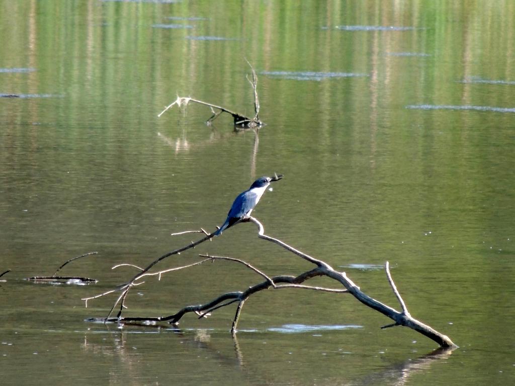 DSCN9654.jpg