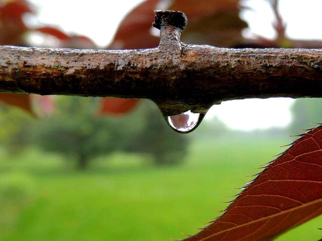 DSCN9655.jpg