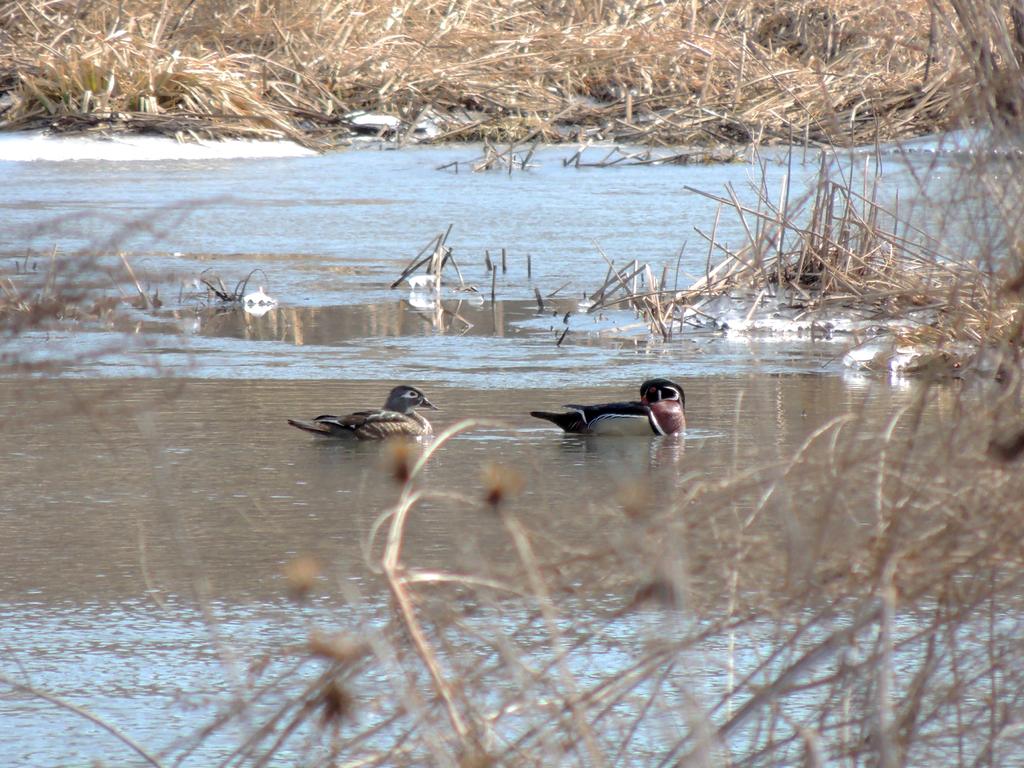 DSCN9658.jpg