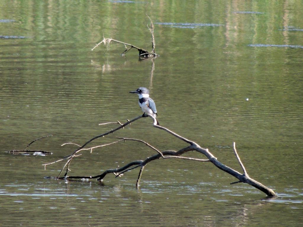 DSCN9659.jpg