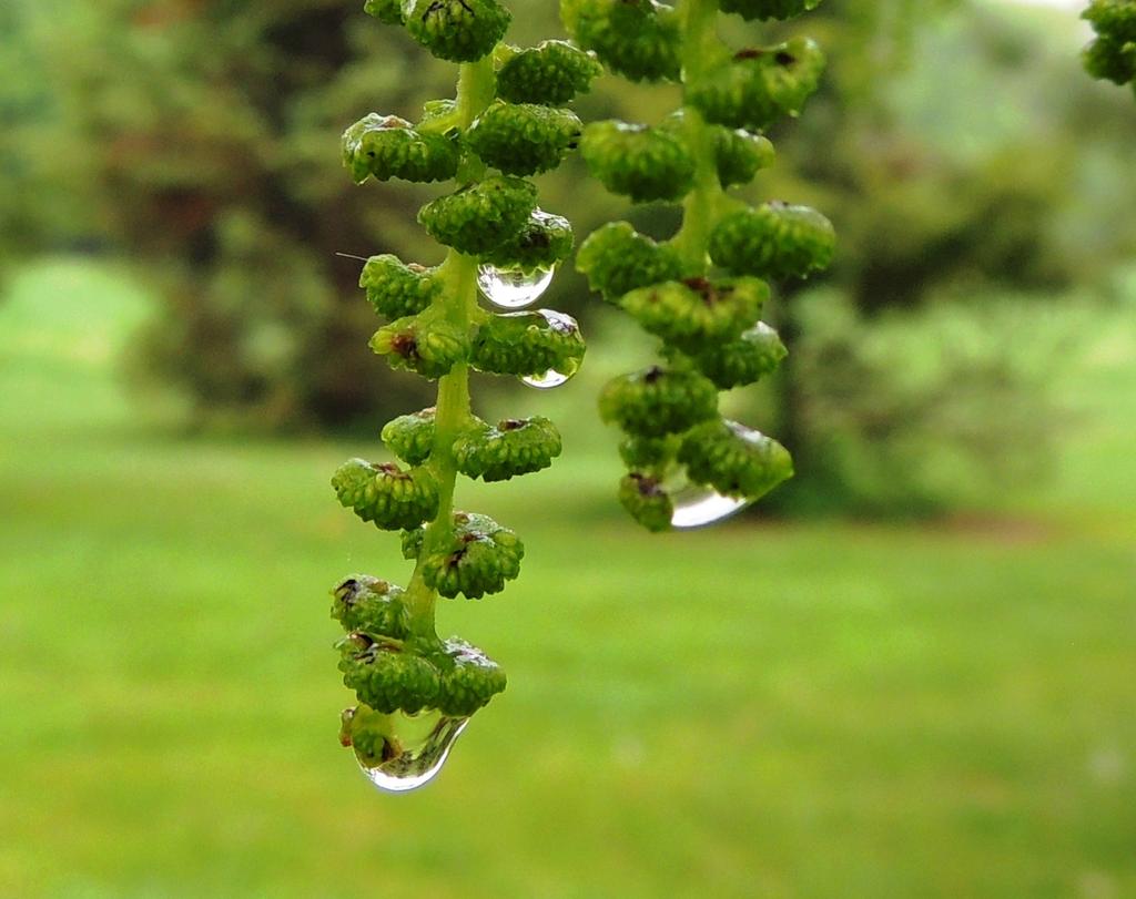 DSCN9663.jpg