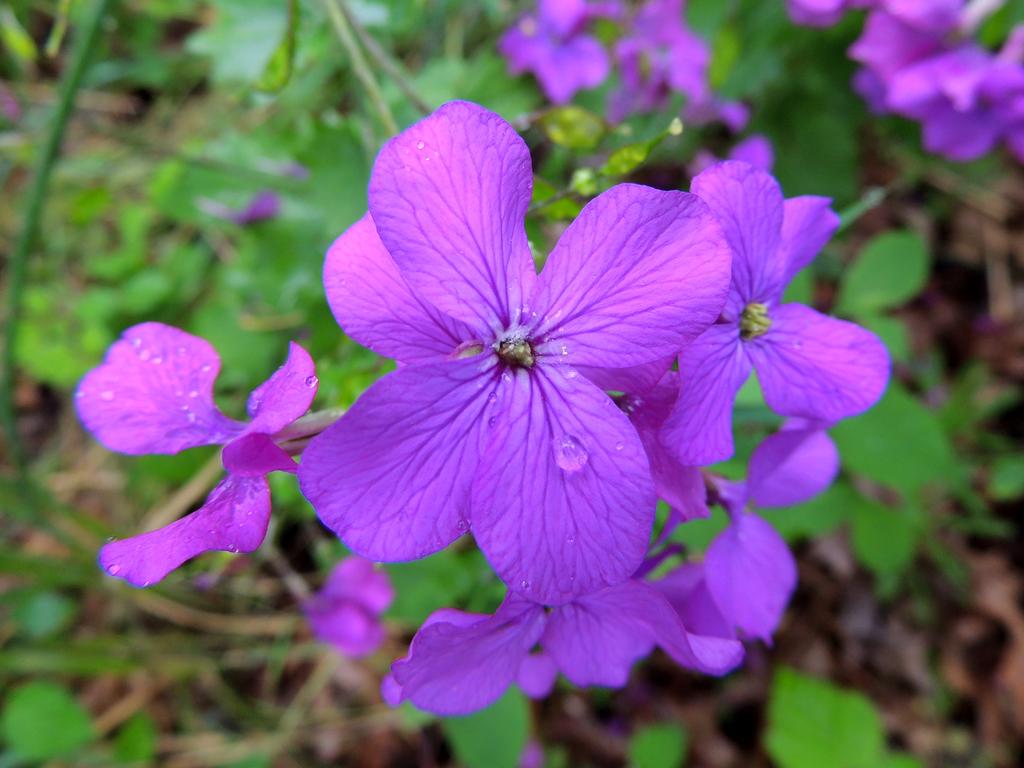DSCN9672.jpg