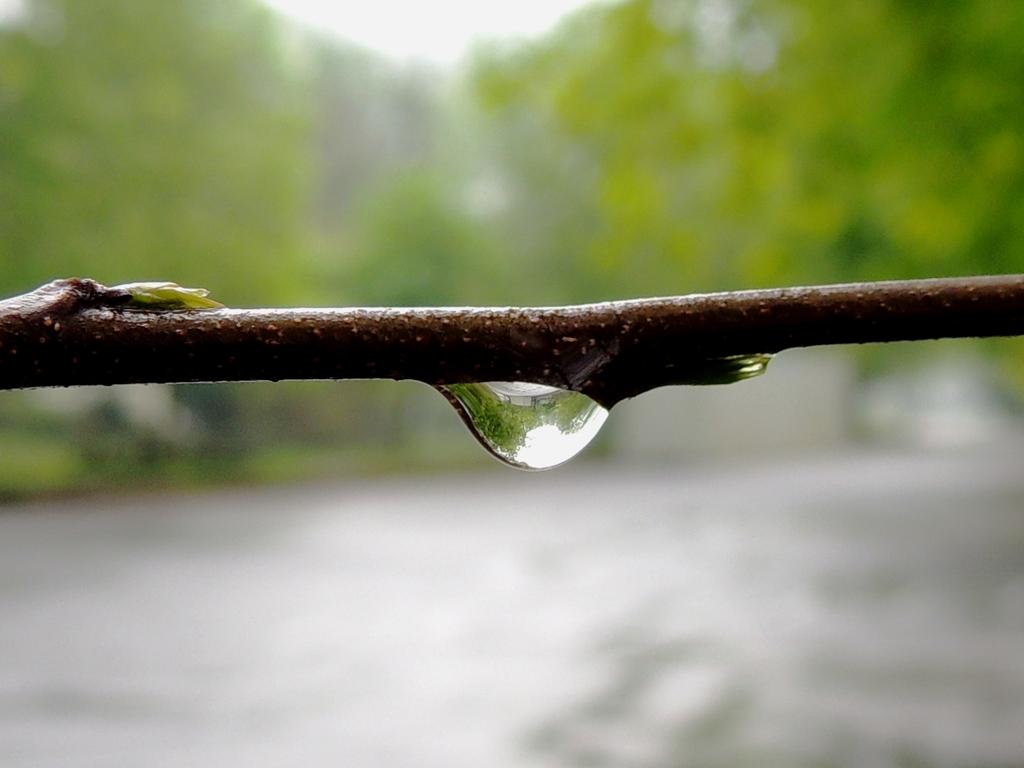 DSCN9679.jpg