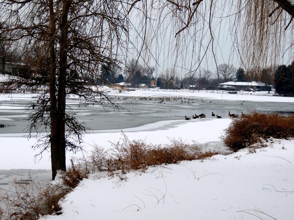 DSCN9685.jpg