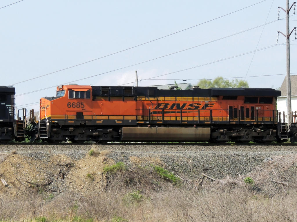 DSCN9697.jpg