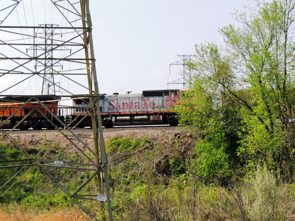 DSCN9698.jpg