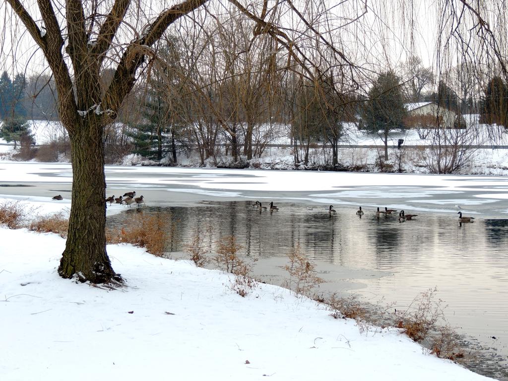 DSCN9700.jpg