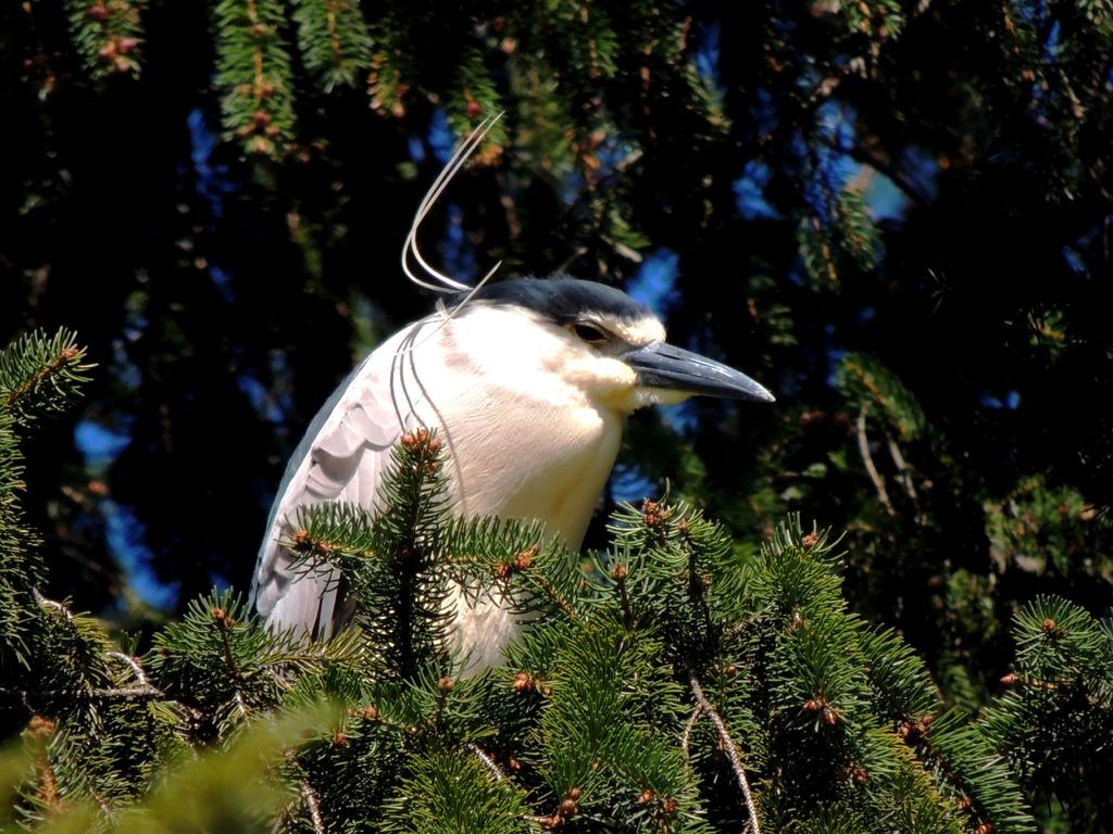 DSCN9717.jpg
