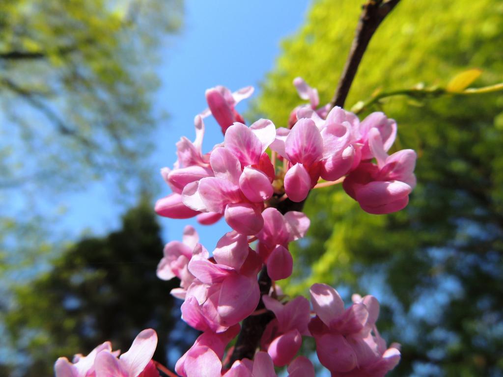 DSCN9718.jpg