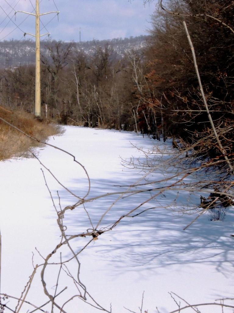 DSCN9722.jpg