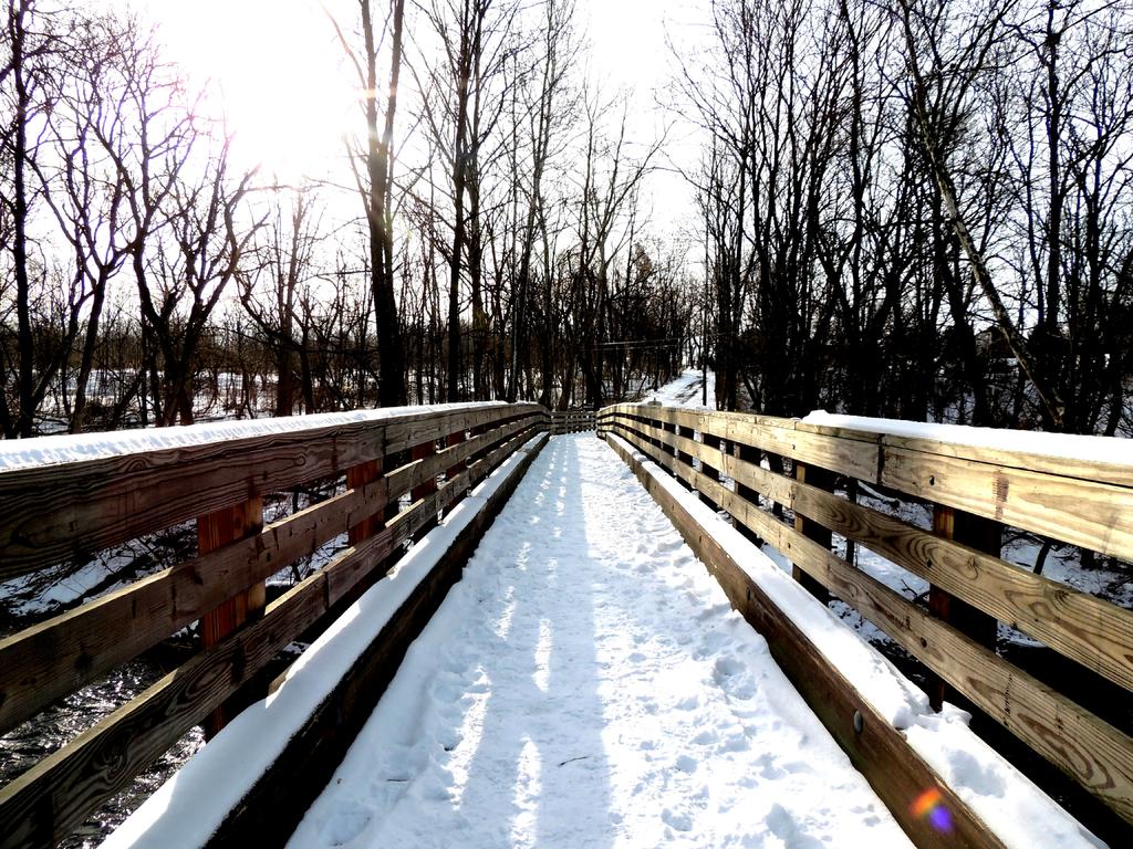 DSCN9722.jpg