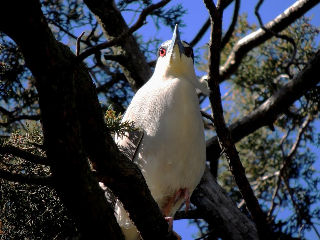 DSCN9723.jpg