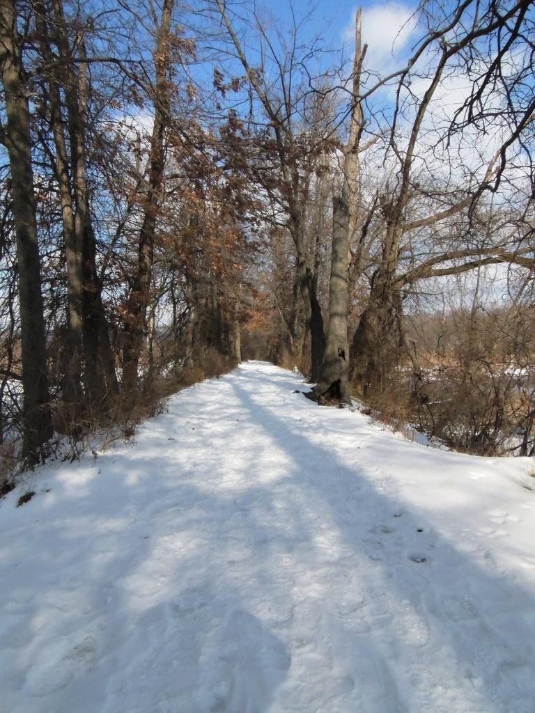 DSCN9724.jpg