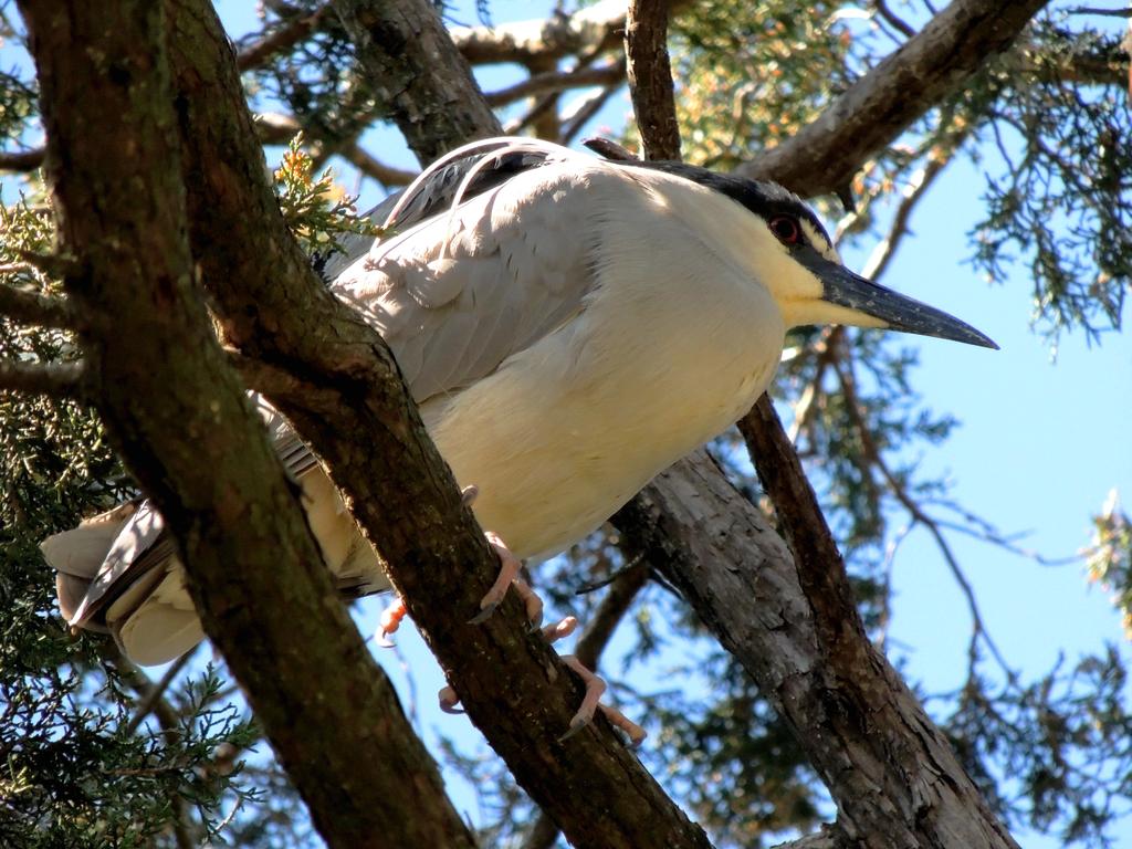 DSCN9724.jpg
