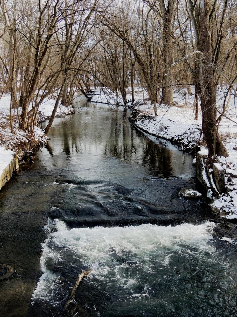 DSCN9728.jpg