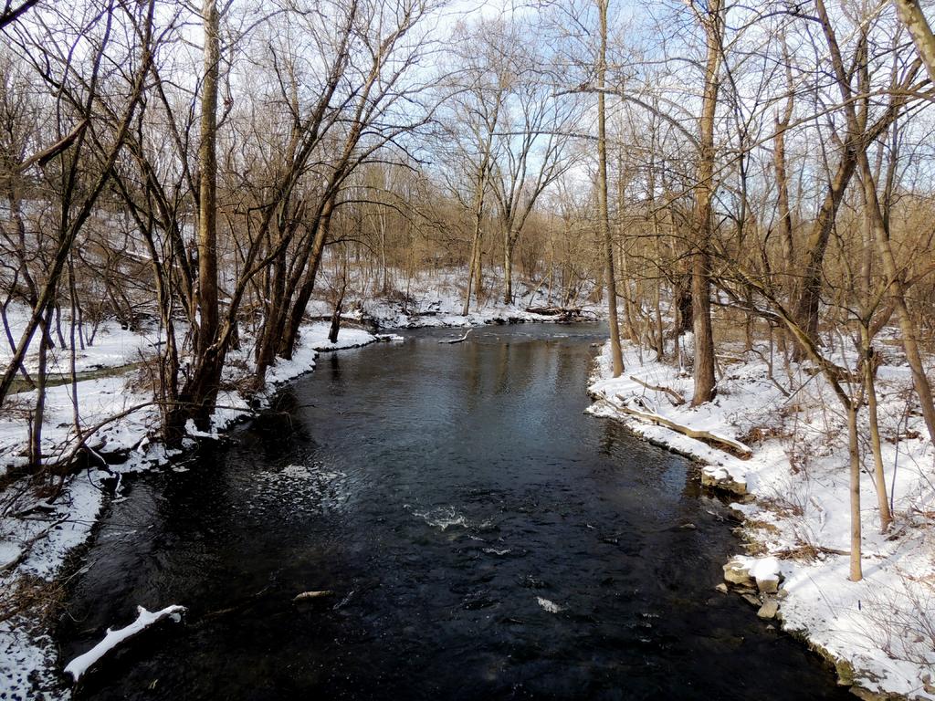 DSCN9729.jpg