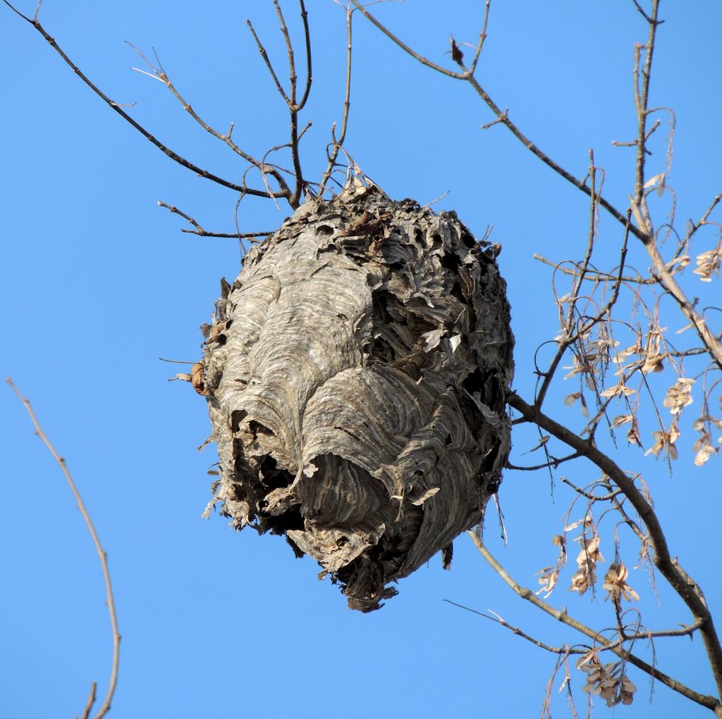 DSCN9735.jpg