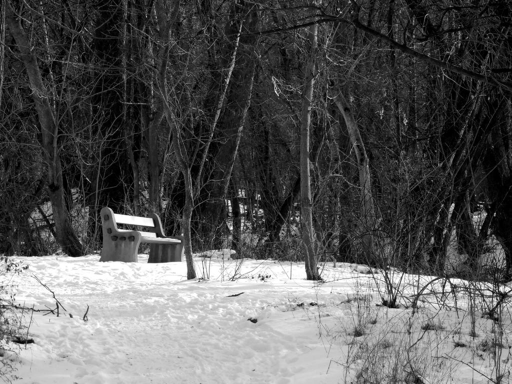 DSCN9740.jpg