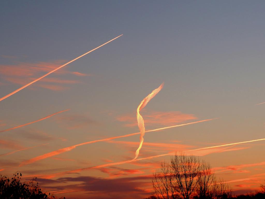 DSCN9748.jpg